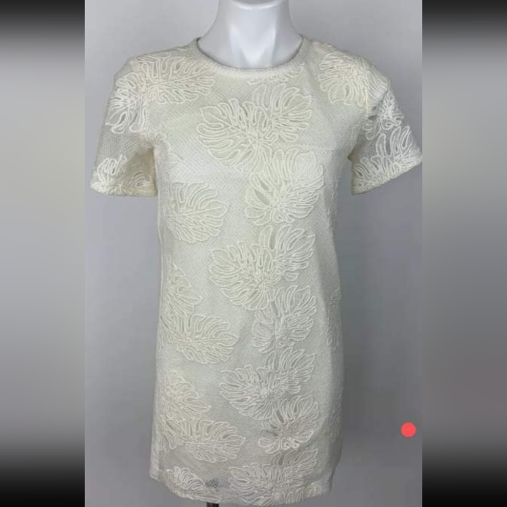 Ann Taylor loft beautiful laced ivory dress